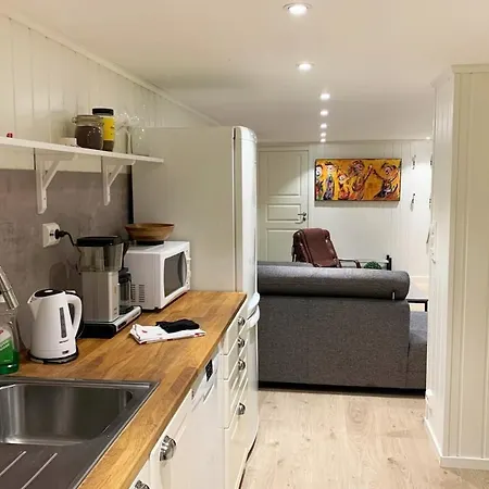 Newly Renovated Basement Apartment Sarpsborg