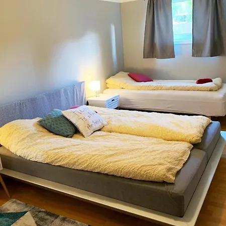 Newly Renovated Basement Apartment
