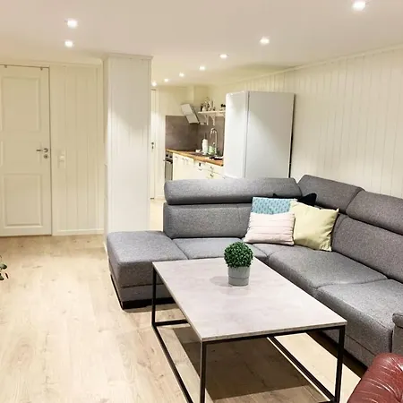 Lejlighed Newly Renovated Basement